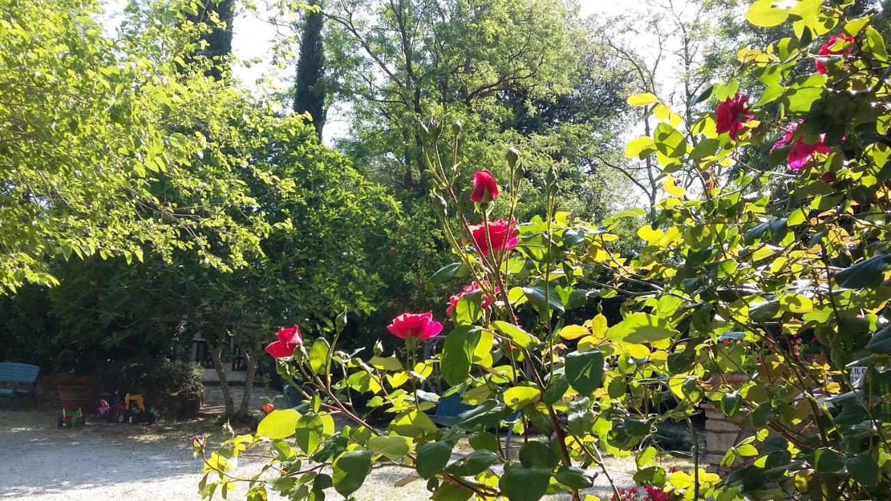 Agriturismo Alle Rose Volterra Extérieur photo