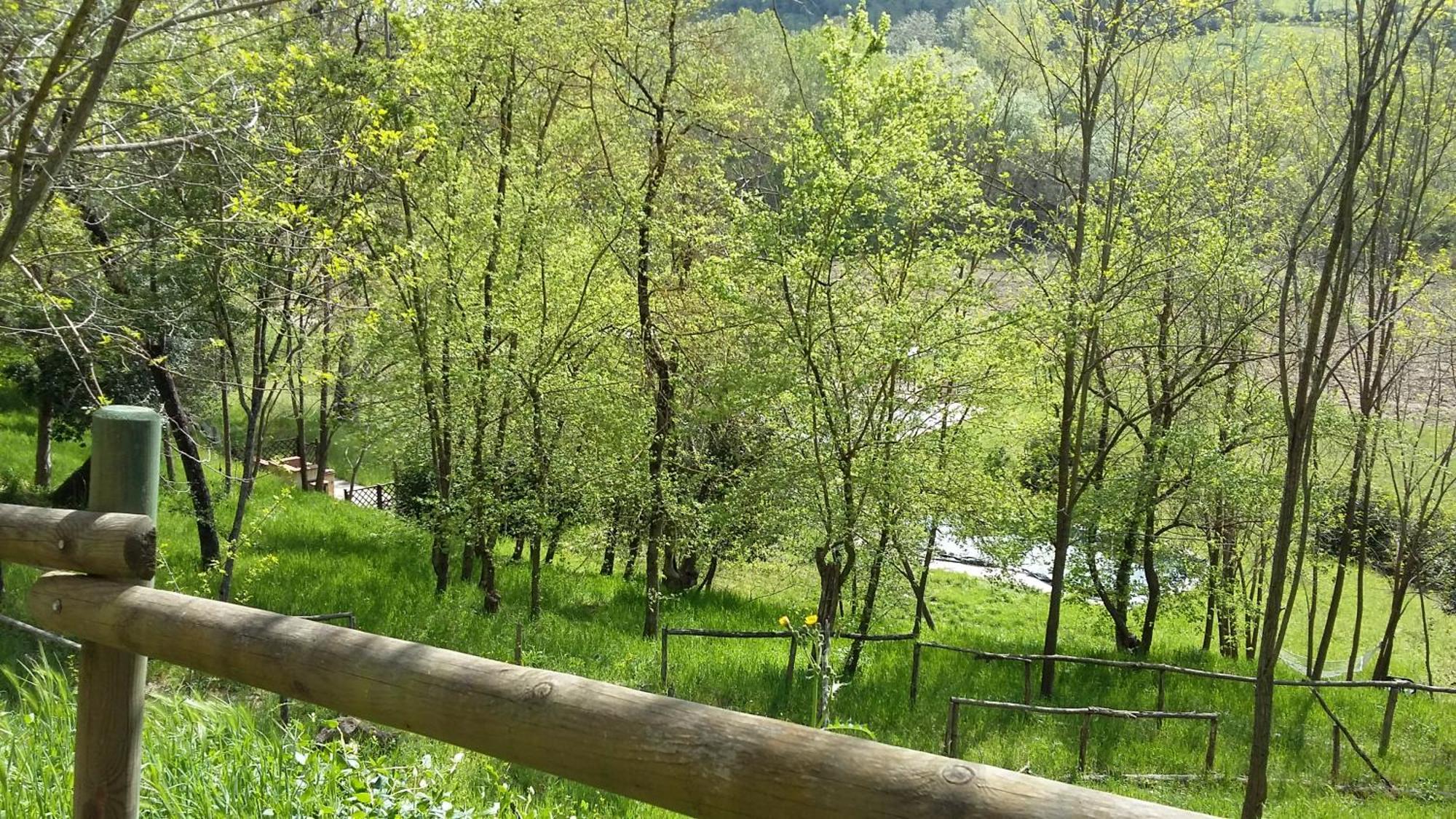 Agriturismo Alle Rose Volterra Extérieur photo